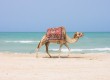 Tunisia visitors hit record high 