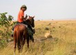 Horse safaris allow you to get up close and personal with the wildlife, as this Offbeat safari guide shows 