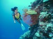 New diving destinations in Oman