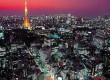 See the wonderful Tokyo Tower