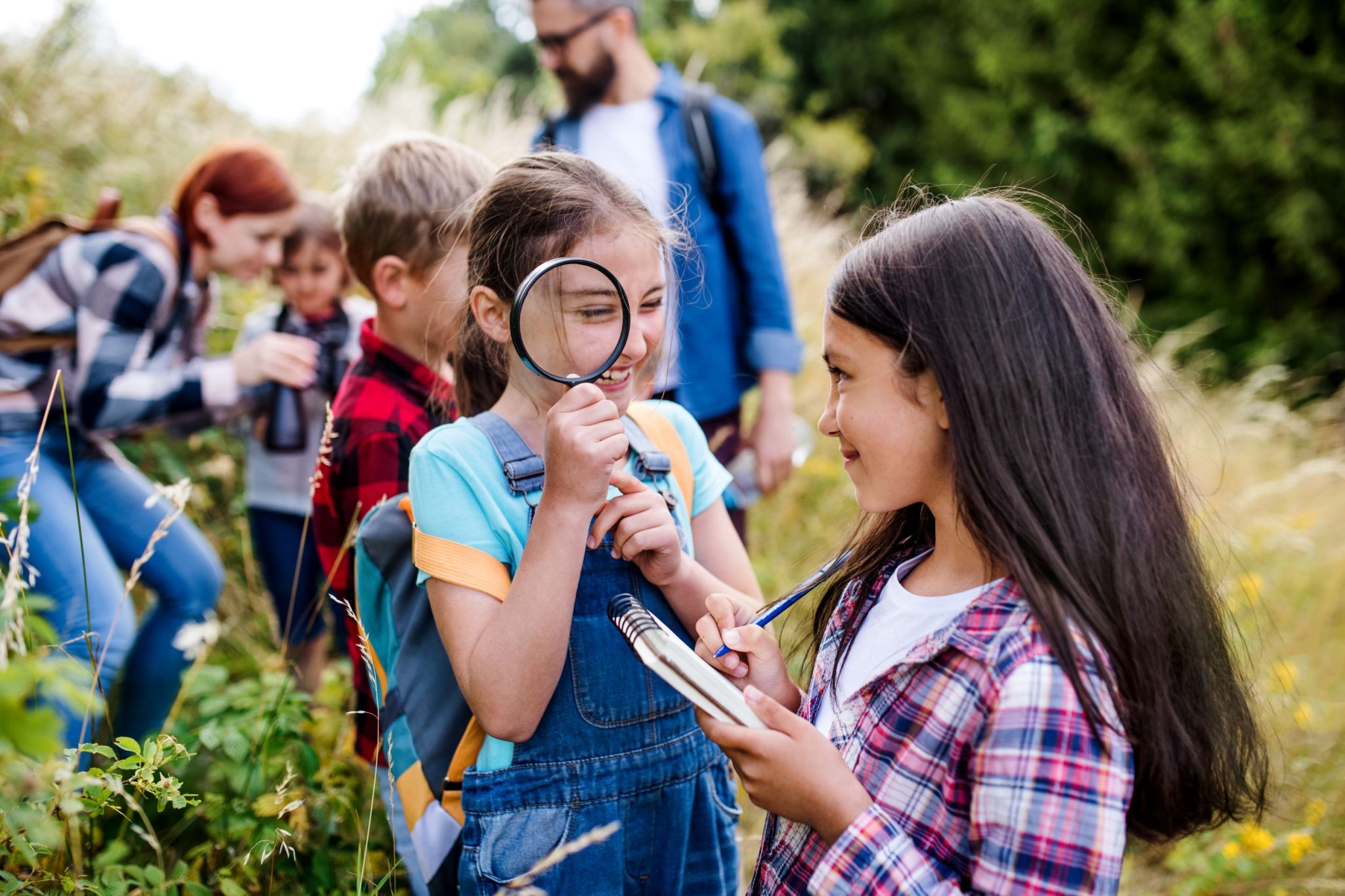 field trip ideas for environmental science